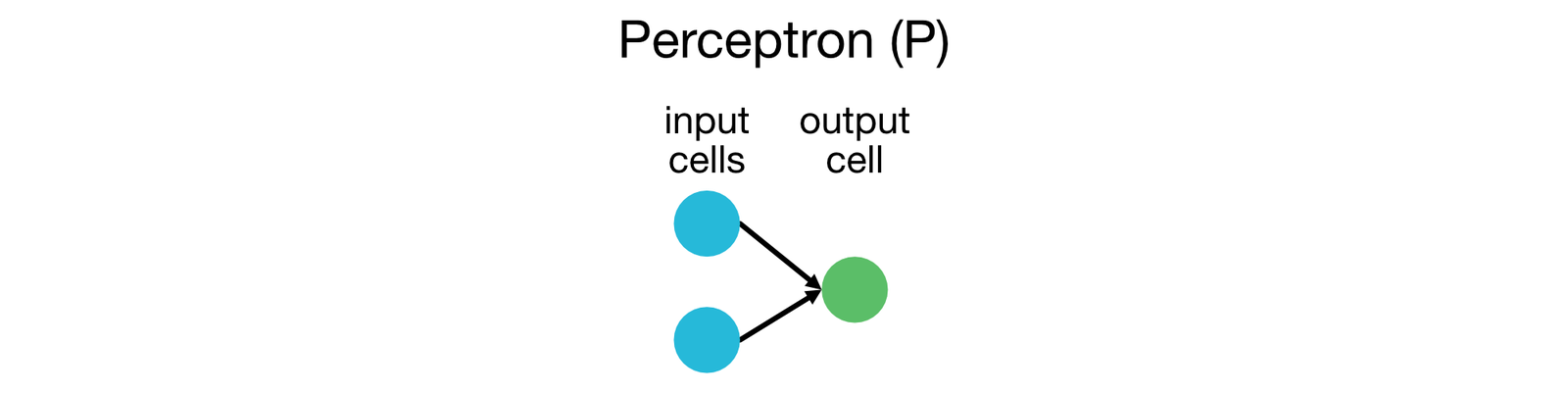 Perceptron (P).
