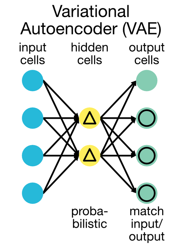 Simplified schematic of the VAE network architecture. png