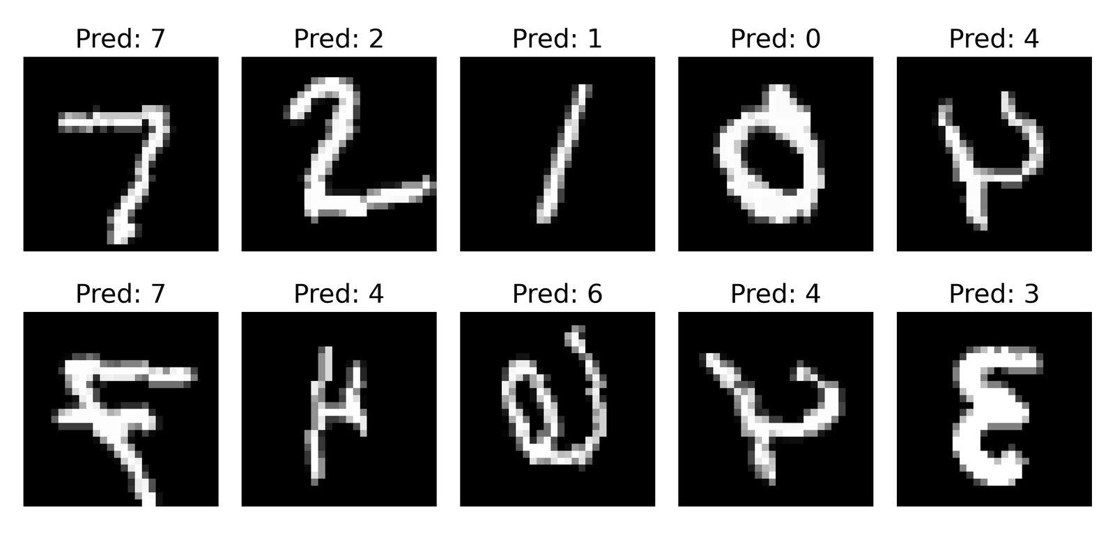 Predictions of our model on a few test images.