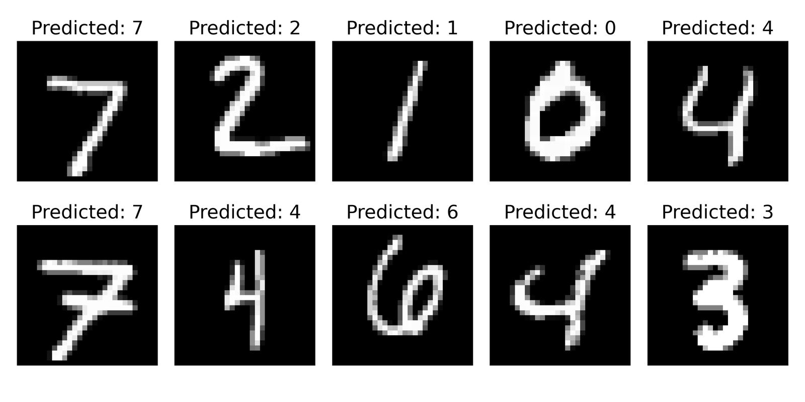 Predictions of the CNN on a few test images.